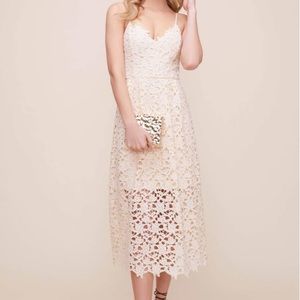 ASTR the Label Lace Midi Dress in Buttercream